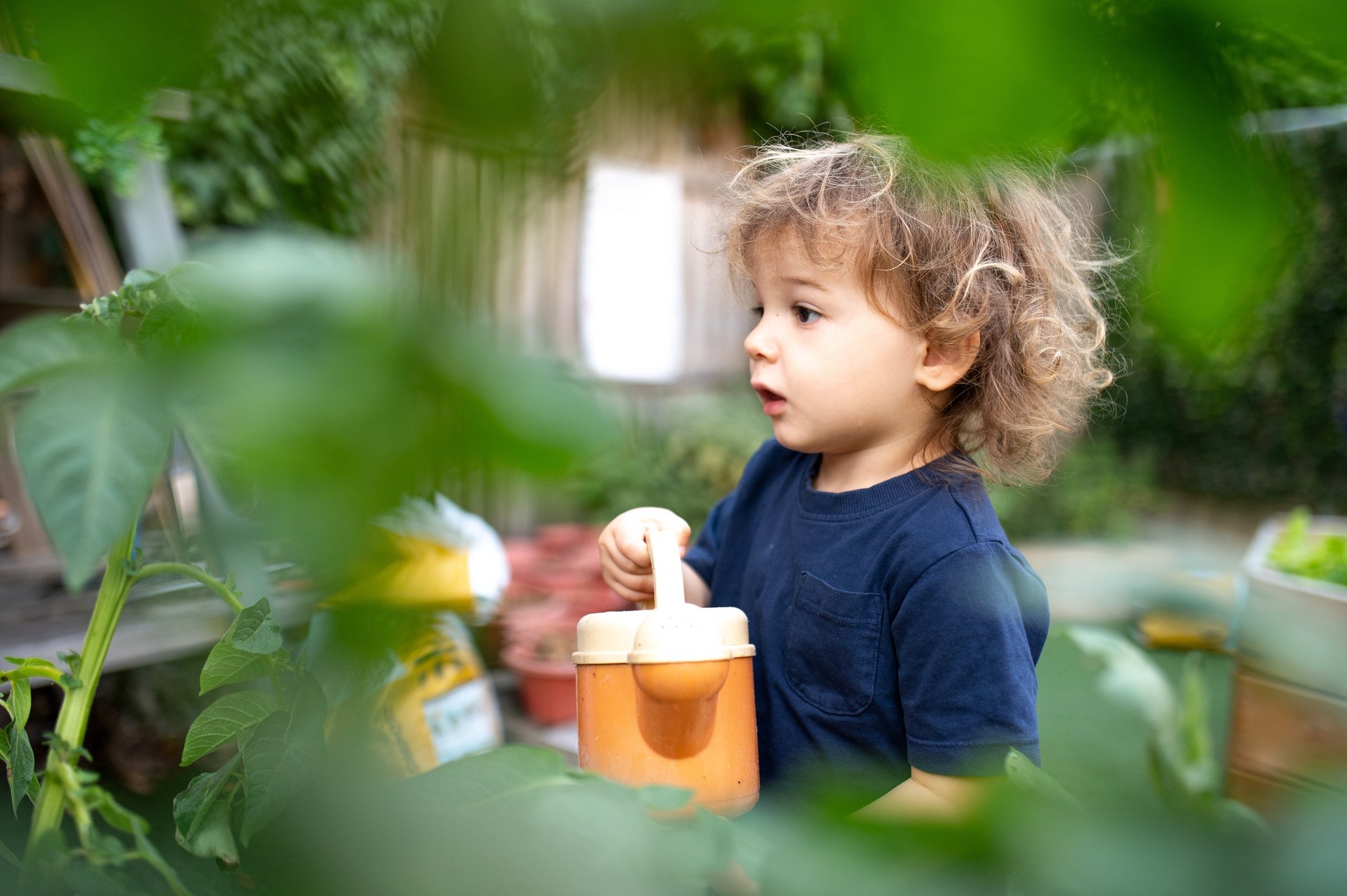 Curly-haired toddler boy in a navy shirt holds an orange Sippy cup in a lush garden, gazing thoughtfully through green leaves.