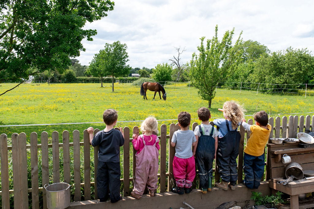 A group of kids standing on a fence, excitedly watching a horse in a nursery setting
